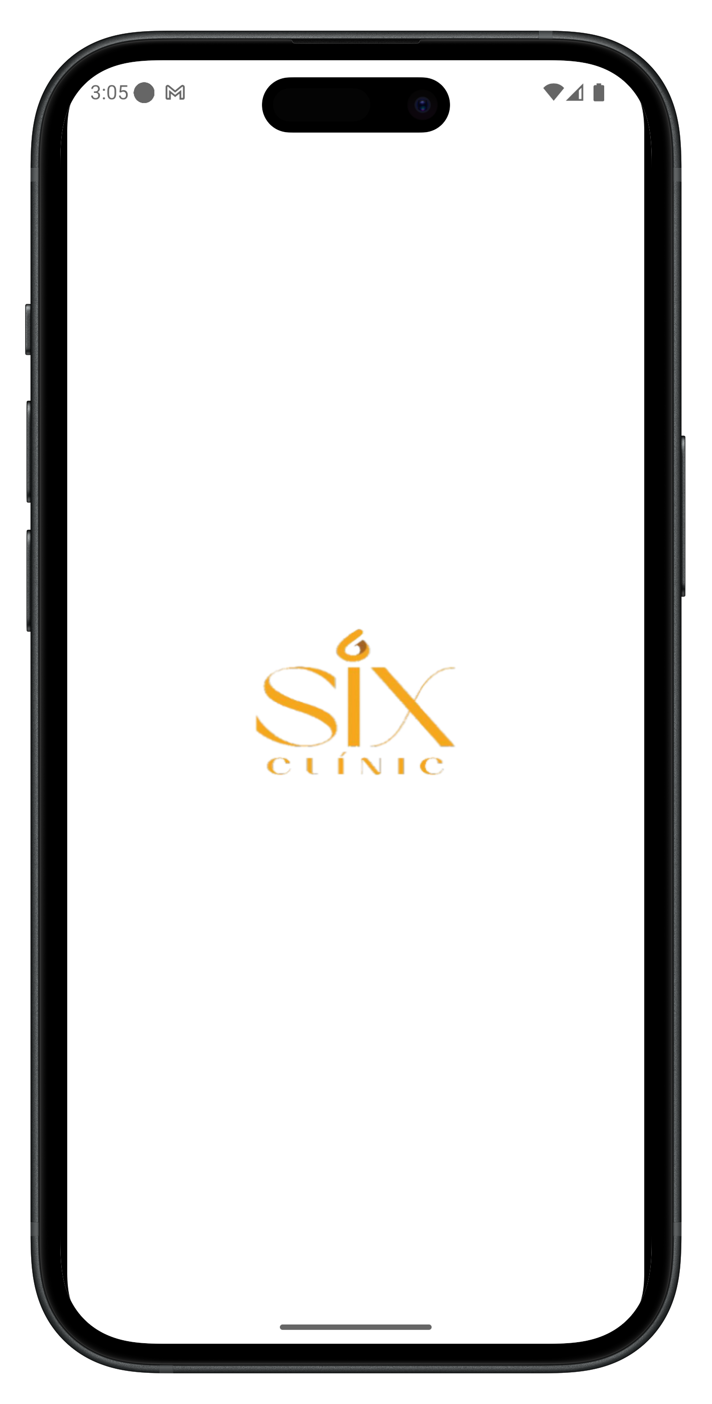 App Mockup 2